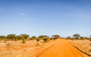Safari road in Kenya