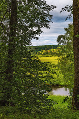 Summer landscape with river and field