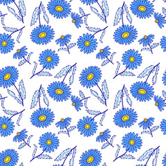 Floral seamless pattern of blue daisies. Vector illustration of hand drawing