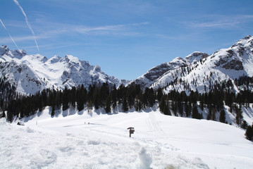 sentiero nella neve