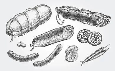 Fotobehang Ink hand drawn set of various sausages, ham, salami. Food elements collection for menu or signboard design. Vector illustration. © olga_zaripova
