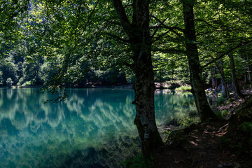 Lake Bethmale, Ariège, Occitanie, France