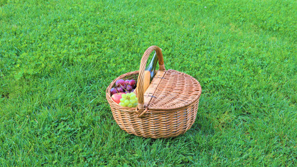 Wicker picnic basket with white and black grapes and wine on green grass outside