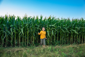 Naklejka na ściany i meble Little boy wearing yellow shirt walking across the field with corns
