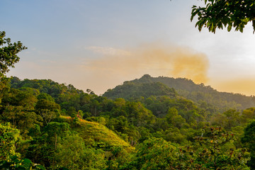 Saftig grünes Blätterdach vom wunderschönen tropischen Regenwald im Küstengebirge der Anden bei Sonnenuntergang