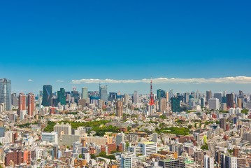 Fototapeta na wymiar Tokyo Olympic City 2020 Japan