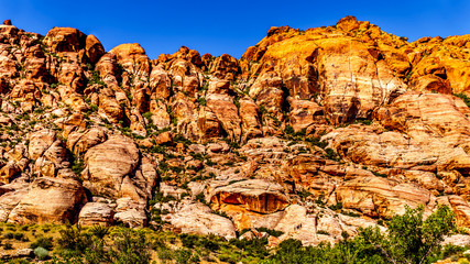 View of the rugged Red Sandstone Rocks on the Trail to the Guardian Angel Peak in Red Rock Canyon...