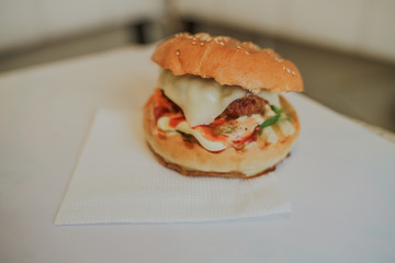 Delicious sandwich hamburger with meat, cheese and fresh vegetable. Hamburger or sandwich is the popular fast food for brunch or lunch. Juicy cheeseburger