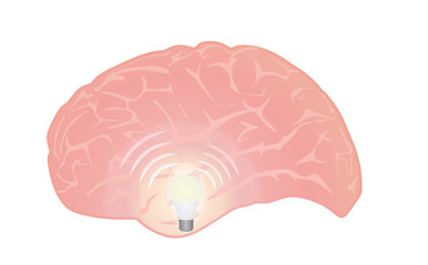 Bulb inside brain. idea concept. vector