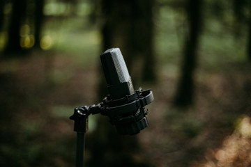 Microphone in the forest