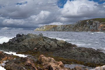 Coastline of Crow Head in Newfoundland, Canada