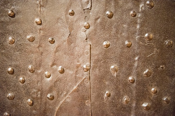 Metal rusty background with rivets