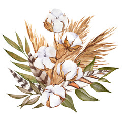 Bouquet with pampas grass, flowers, feather and cotton, watercolor hand draw floral element in boho style, isolated on white background