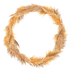 Wreath with pampas grass, watercolor hand draw floral element in boho style, isolated on white background