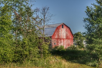 Obraz premium 0346 - Columbiaville Red in Summer (0346-BAR-071119-0833A)