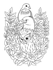 Vector illustration zentangl. Owl, eagle, dove among the flowers. Coloring book. Antistress for adults and children. Work done in manual mode. Black and white.