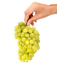 .female hand holding a bunch of grapes on a white background