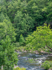Little River Canyon, part of the Little River Canyon National Preserve, near Fort Payne, Alabama, USA