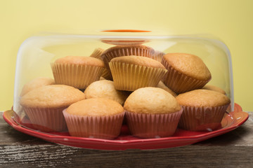 Cupcake dish in the kitchen 