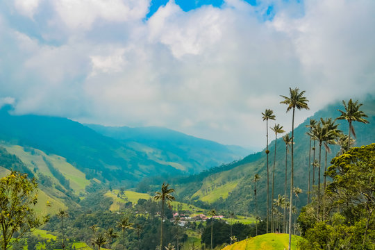 Nebel zieht &uuml;ber die Anden im Cocora Valley Kolumbien mit den h&ouml;chsten Palmen der Welt	
