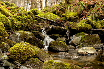 High Force Beck