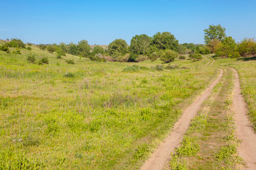 scenery with country road in the summer
