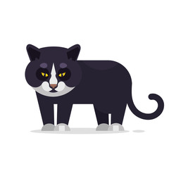 Cat Striped Head Symmetrical Sketch Vector Graphics