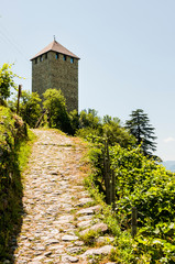 Dorf Tirol, Schloss Tirol, Herrschaftsweg, Waalweg, Wanderweg, Vinschgau, Weinberge, Weinpergola, Südtirol, Sommer, Italien