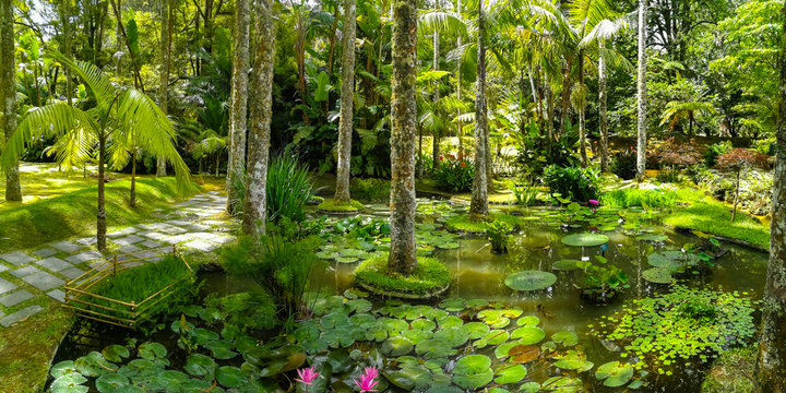Terra Nostra Park in the Azores is a large botanical garden with a huge variety of plants and trees and with lakes, streams and a pool of volcanic origin.