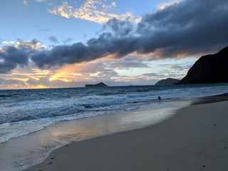 Dog in the water in the early Morning Sunrise on Waimanalo Beach