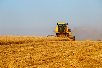 Obraz premium Combine harvester in wheat field