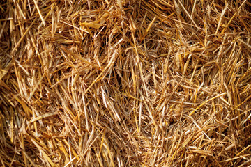 yellow straw texture closeup on a hot summer day