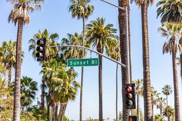 Sunset Bl. LA, California, USA. Green sign, red traffic lights and palm trees - Powered by Adobe