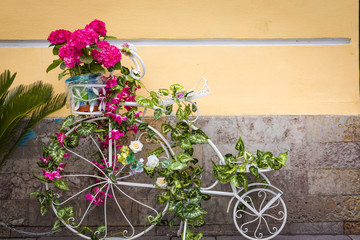 Fototapeta na wymiar Vintage bike on which flowers grow. Flowers grow out of a pot and cover the whole bike.