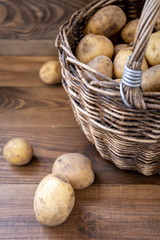 Fototapeta na wymiar Close-up. Wicker basket filled with fresh potatoes on a wooden background. Some potatoes are scattered on the wooden surface. 