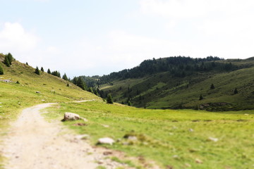 Naklejka premium Hiking trail
