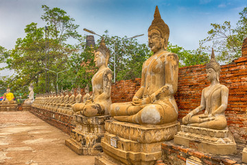 Fototapeta premium alte Buddhafiguren in Wat Yai Chai Mongkol