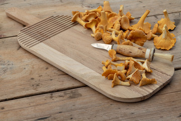 Chanterelles on wooden rustic beautiful background and a fungal knife and place for recipes