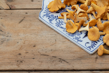Yellow chanterelles on a beautiful cutting board and wooden background