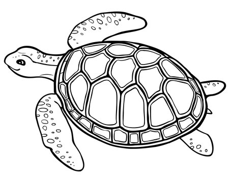 Big turtle - contour drawing, coloring page with simply decor