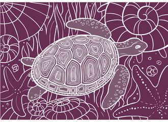 Violet background with white lines - turtle in the sea