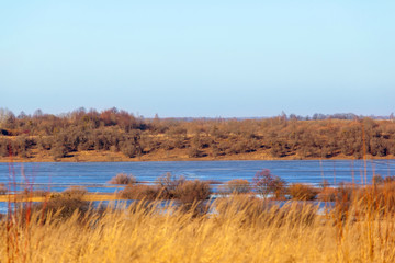 picturesque landscape of a wide river bed among brown forest, autumn landscape