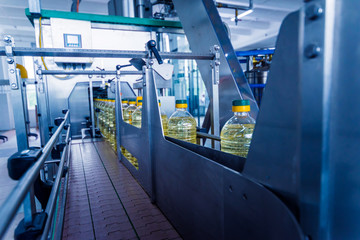 Bottling line of sunflower oil in bottles. Vegetable oil production plant. High technology.