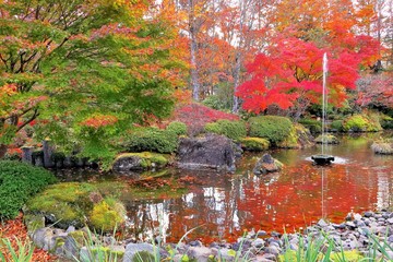紅葉の日本庭園