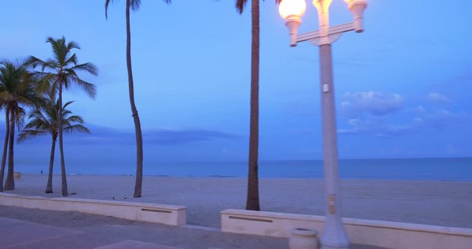 Florida beach palm trees at twilight ocean view