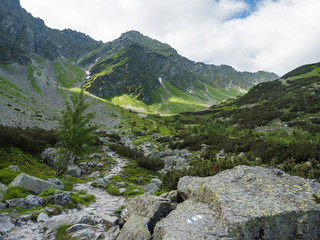 Beautiful mountain valley Smutna dolina with rock boulders, footpath trail, dwarf scrub pine and green mountain peaks. Western Tatras mountains, Rohace Slovakia, summer, blue sky background