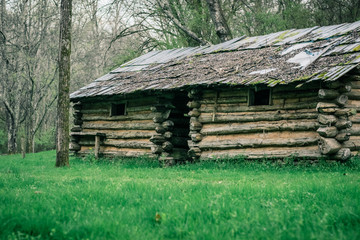 Entrance to Dog-trot Wood and Mud Cabin in a Clearing