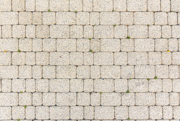 Yellow sett background