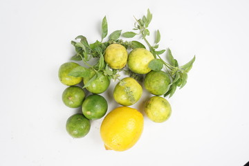 lemon and lime isolated on white background