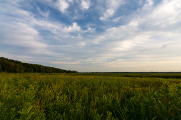 Wetlands at sunset